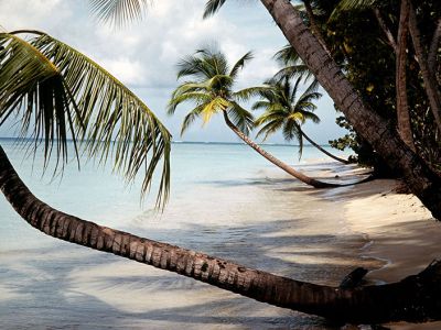 Tobago