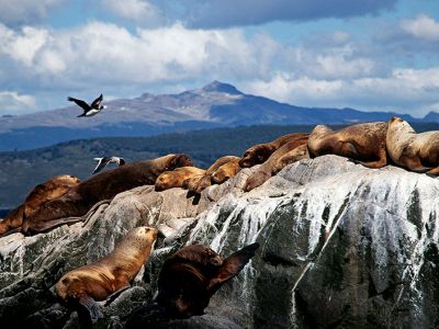 Chile