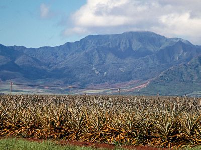 Hawai